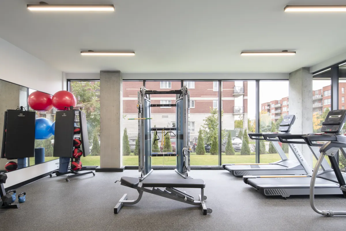 Salle d'entraînement avec vue sur le jardin